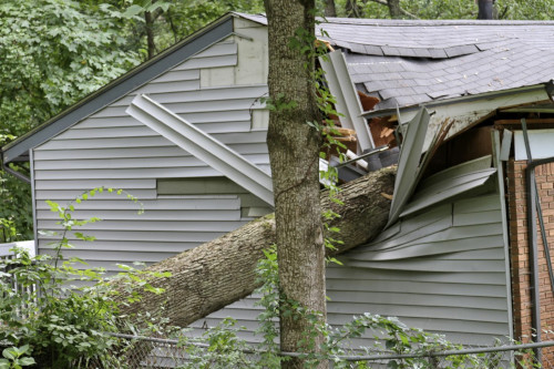 Exterior image of a home damaged by a tree falling on the house.