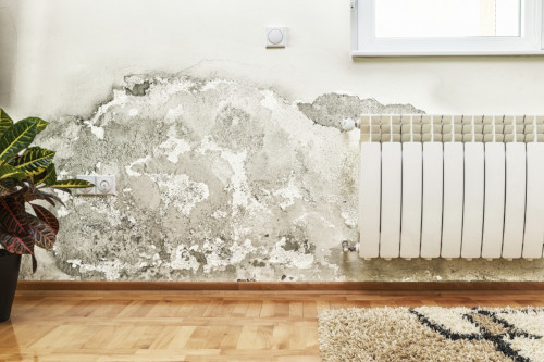 Interior image of a home with flood damage.